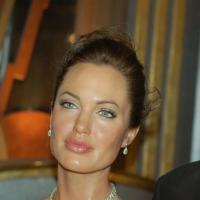 <em>not</em> Angelina Jolie